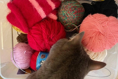 Stockinette Stitch Guide for Beginners