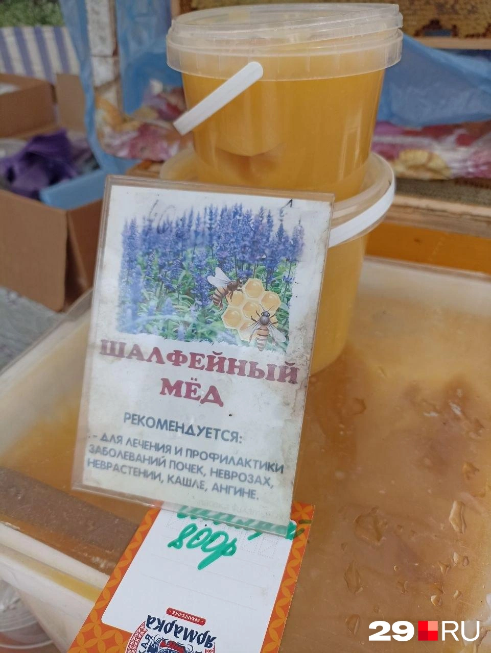 Источник: Иван Митюшёв / 29.RU