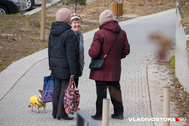 Разрыв между пенсиями и зарплатами увеличится | Источник: Елена Буйвол / VLADIVOSTOK1.RU