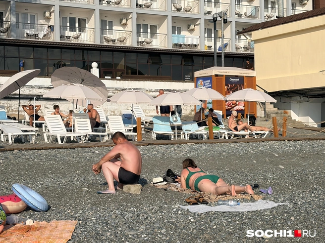 Источник: Анна Грицевич / SOCHI1.RU