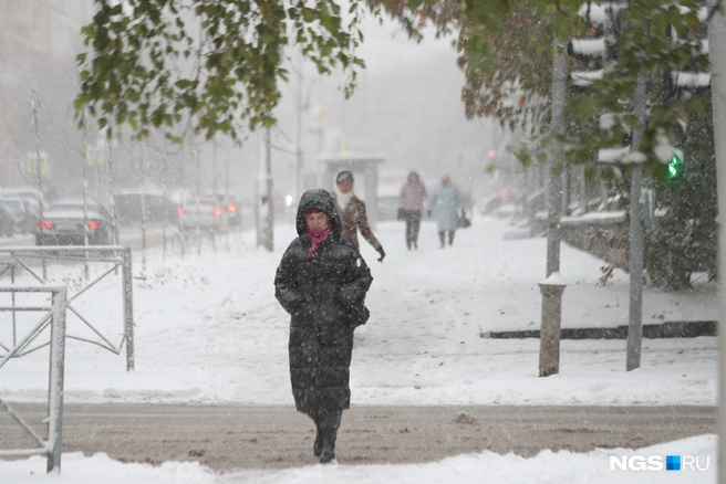 Источник: Андрей Бортко / NGS.RU