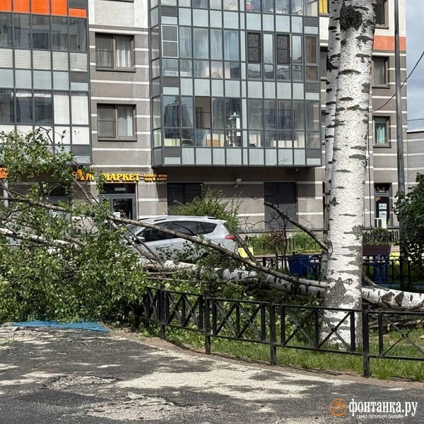 Источник: читатель «Фонтанки»