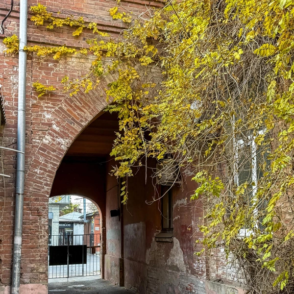 Источник: kizilpasha / T.me