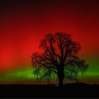 На Землю обрушилась сильнейшая магнитная буря и вызвала небывалые полярные сияния: взгляните на лучшие фото