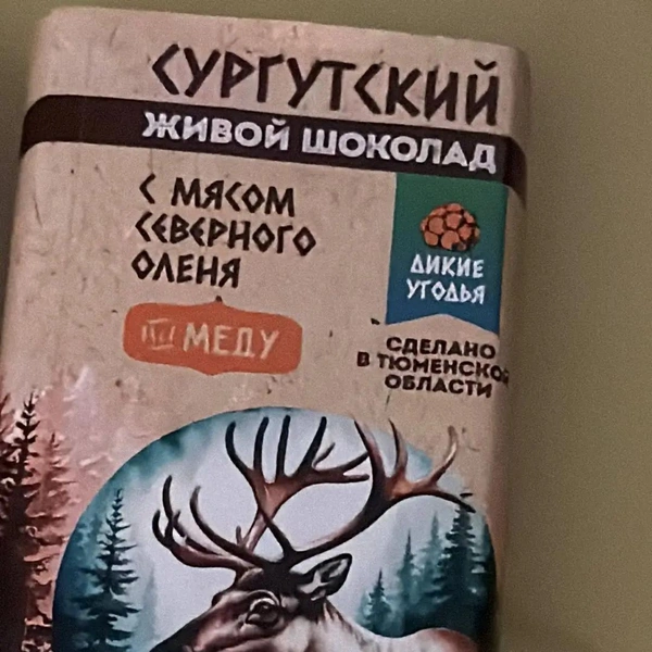 Источник: Динара Фахритдинова / t.me