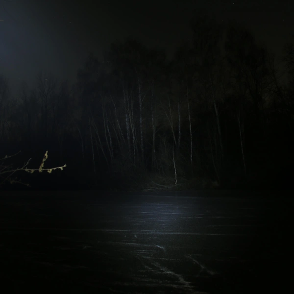 Источник: Наталья Пронина