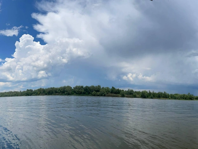 Фотография из хутора Вертячий в Городищенском районе | Источник: Читатель V1.RU Дмитрий