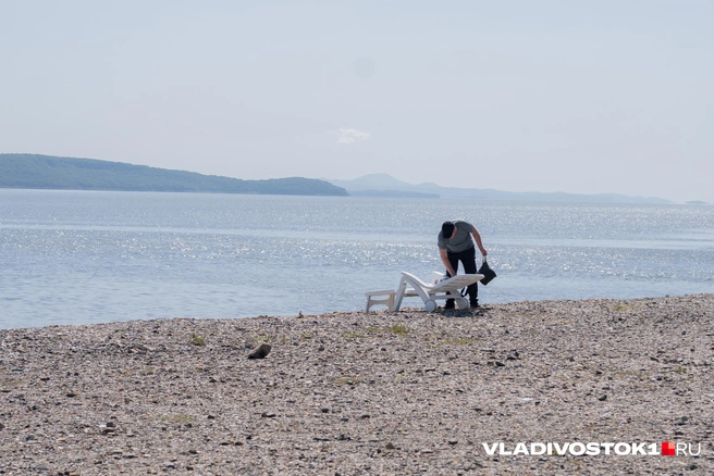 Это не первый подобный иск от ведомства | Источник: Елена Буйвол / VLADIVOSTOK1.RU