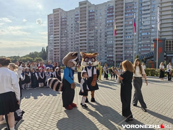 Источник: Андрей Пашинский / Voronezh1.ru
