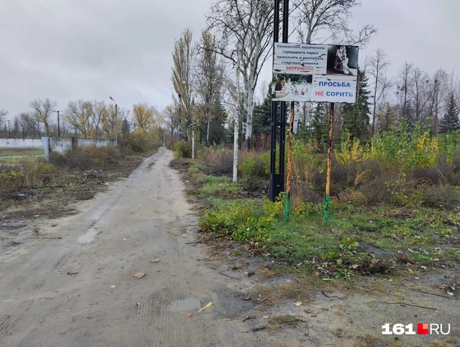 Так парк выглядит сейчас | Источник: читатель 161.RU
