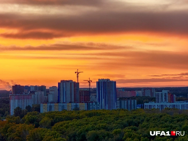 Лето закатало рукава | Источник: Булат Салихов / UFA1.RU