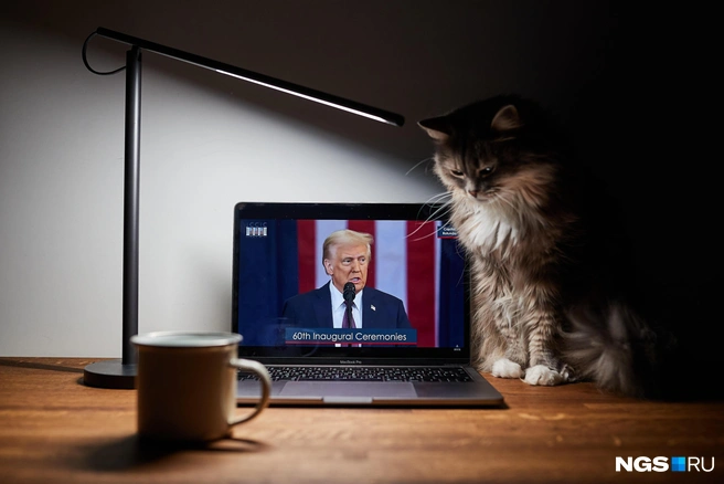 Трамп поручит Пентагону раскрыть документы об НЛО и внеземной жизни | Источник: Александр Ощепков / NGS.RU