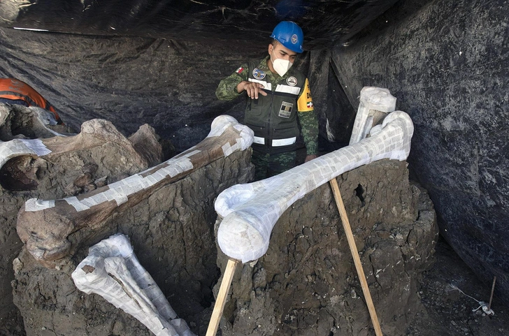 Солдаты помогли раскопать огромное количество костей в Мехико, чтобы армия могла вовремя завершить строительство аэропорта | Источник: Marco Ugarte