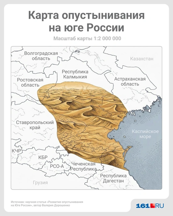 Источник: Полина Авдошина / Городские медиа