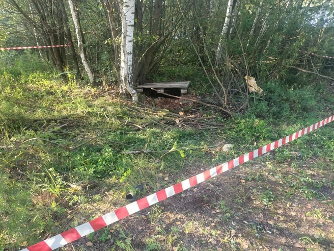 Главу Борисоглебского сельского поселения признали виновной по ч. 2 ст. 293 УК РФ за халатность, повлекшую смерть человека | Источник: прокуратура Ярославской области / Telegram