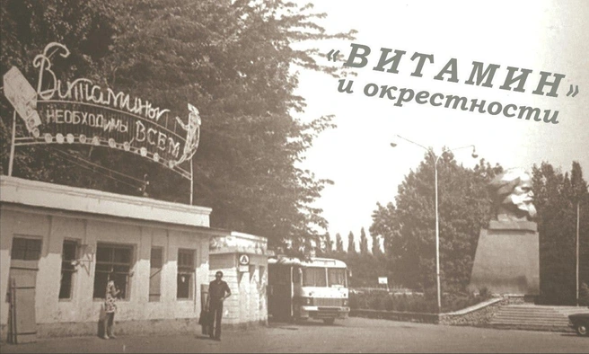 Надпись «Витамины необходимы всем» светилась в темноте. | Источник: Газета «Витамин и окрестности»