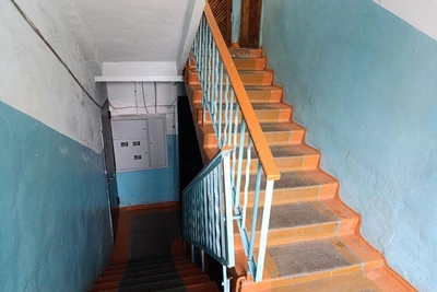 Народный фронт рассказал, как бороться с шумными соседями