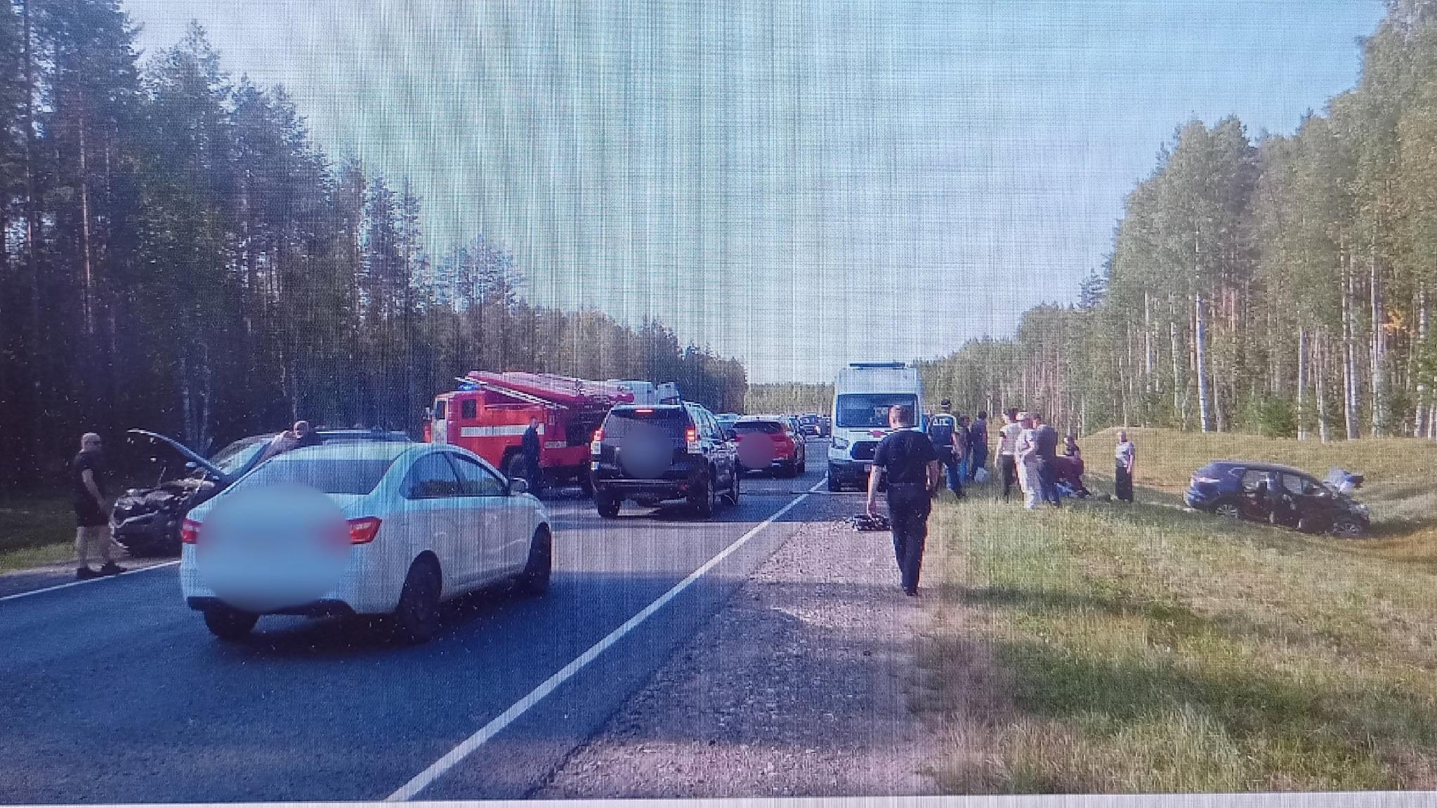 Семь человек пострадали в ДТП на М-8 в Архангельской области - 3 сентября  2023 - 29.ру