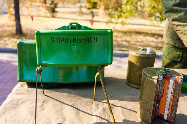 Источник: Ксения Зимина