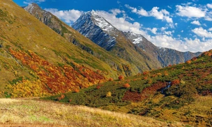 «Стихийный турист — большая головная боль»: что нужно знать, чтобы ваша прогулка по заповеднику не навредила природе