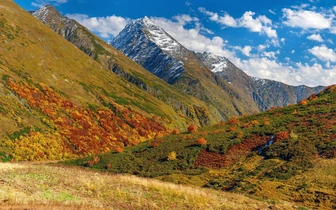 «Стихийный турист — большая головная боль»: что нужно знать, чтобы ваша прогулка по заповеднику не навредила природе