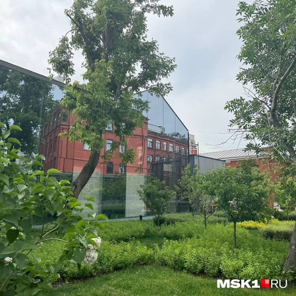 Источник: Арина Майорова / MSK1.RU