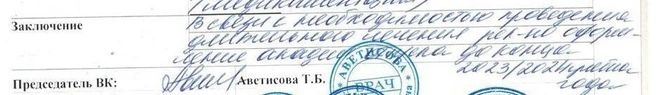«В связи с необходимостью длительного лечения рекомендовано оформление академического отпуска до конца 2023/2024 учебного года», написано в справке | Источник: предоставлено Александром для 161.RU