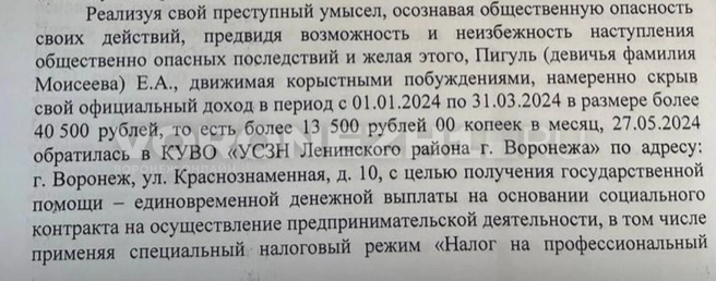 Выдержка из обвинительного заключения с указанной суммой превышающих прожиточный минимум доходов | Источник: Предоставлено Елизаветой Пигуль