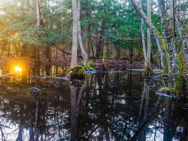 огни, болото, кладбище | Источник: iStockphoto/Mikael Svensson