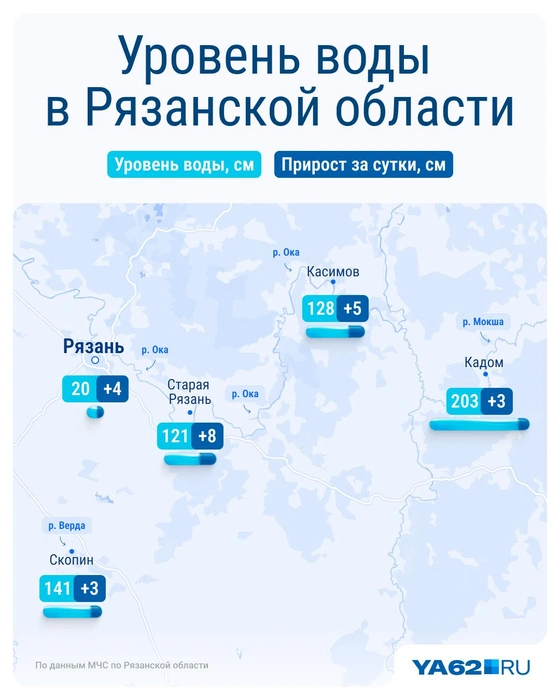 Возможно, рязанцам потребуются сапы | Источник: Серафима Пантыкина / Городские медиа