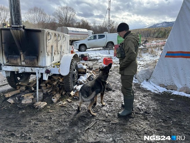 Кинолог Евгений и Тайфун | Источник: Алексей Тайганавт / NGS24.RU