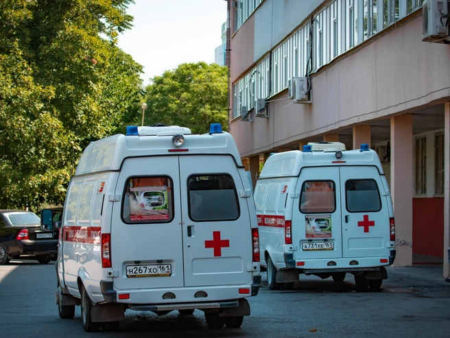 После ответа полиции Светлана написала заявление с просьбой ознакомиться с результатами проверки | Источник: Александр Подопригора / 161.RU