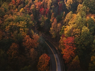 Осенний квиз: что вы знаете о самом уютном времени года? | Источник: Chad Madden / Unsplash