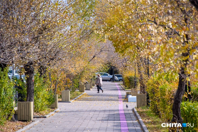 Приближения зимы пока не ощущается | Источник: Олег Фёдоров / CHITA.RU