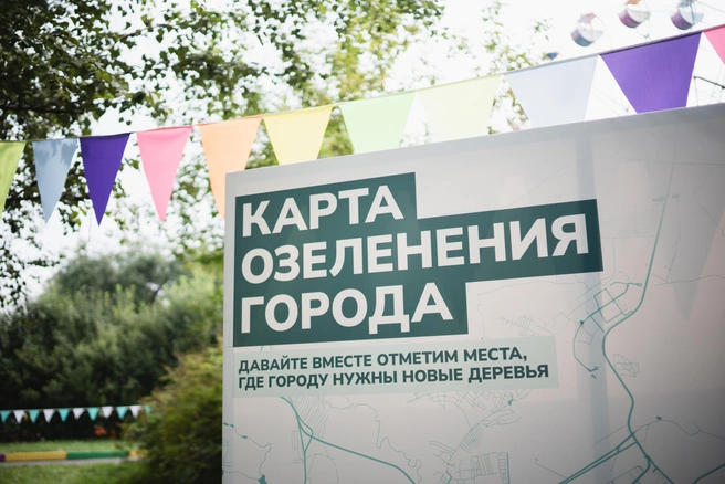 По мнению Арапова, Красноярский край&nbsp;— огромная территория, и здесь особенно важно не допустить ситуации, когда централизация сама по себе становится целью | Источник: Анастасия Петренко 