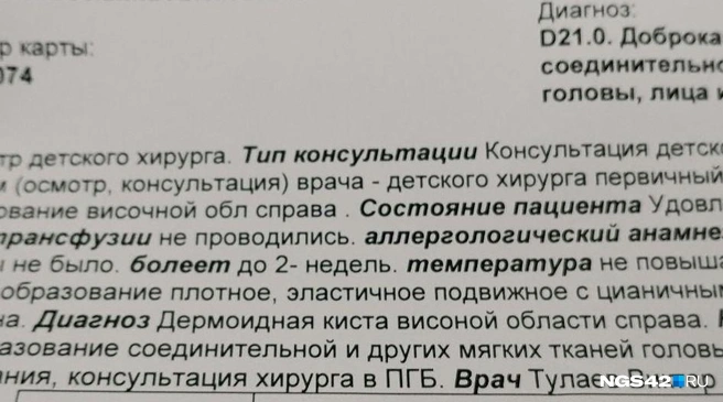 Источник: Александр Левчук / NGS42.RU