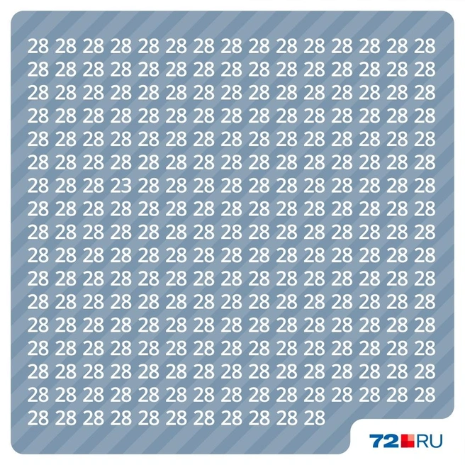 Попробуйте найти число 23 | Источник: Дмитрий Гладышев / Городские медиа 
