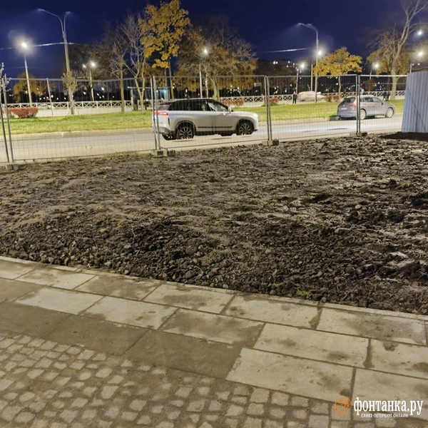 Источник: читательница «Фонтанки» Анна