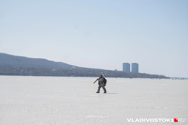 Источник: Елена Буйвол / VLADIVOSTOK1.RU