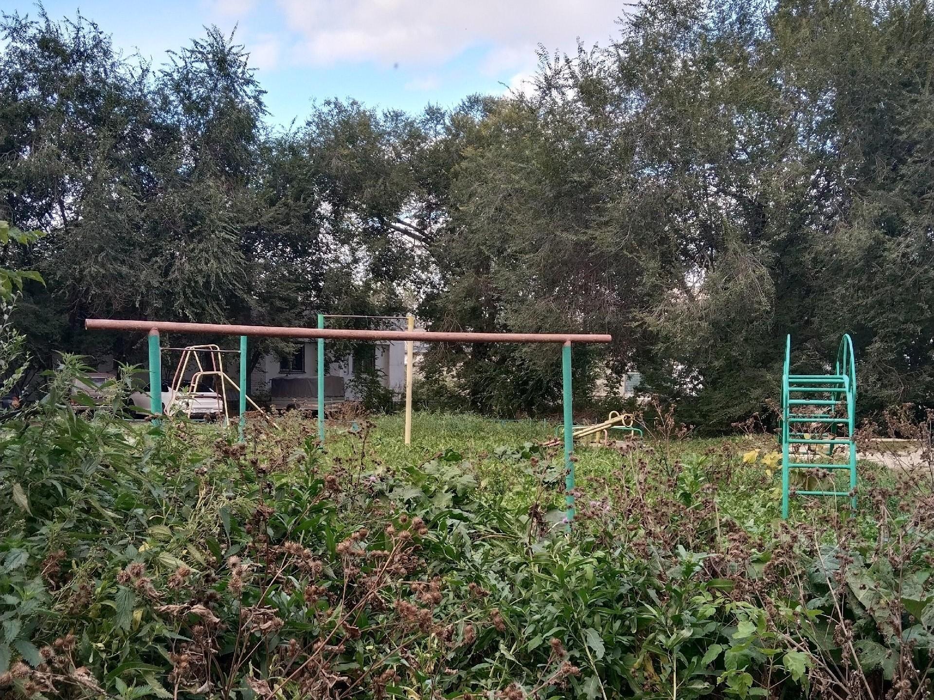 «Джунгли» на Российской. Детская площадка в центре Челябинска заросла бурьяном (фото)