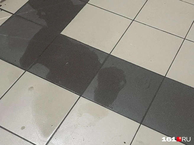 Жильцы только убрали воду из подъезда | Источник: Алина Заярная / 161.RU