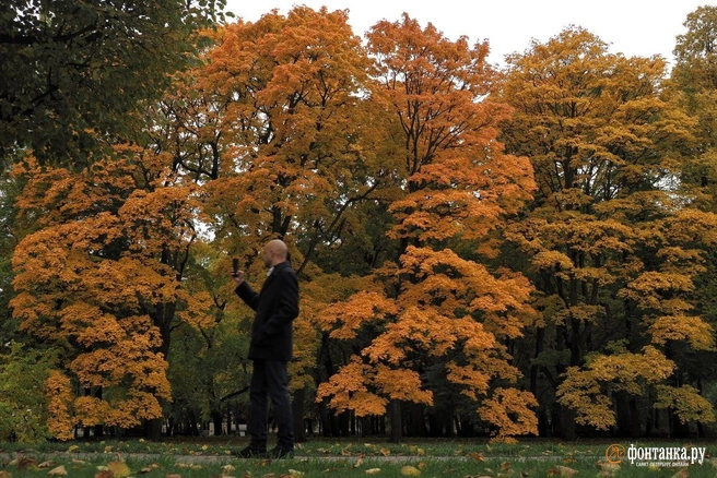 Циклон над нами теряет силы | Источник: Михаил Огнев / «Фонтанка.ру»