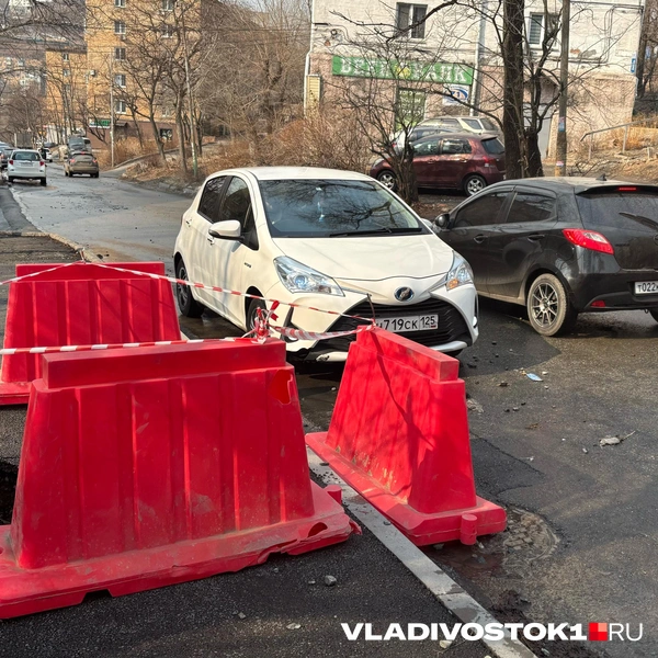 Источник: Елена Буйвол / VLADIVOSTOK1.RU