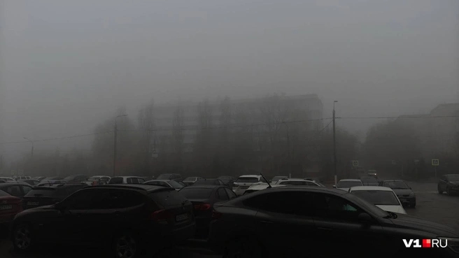 Выглядит даже немного пугающе… | Источник: читатель V1.RU