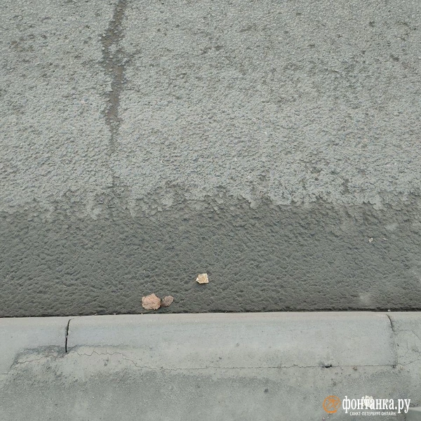 Источник: Михаил Огнев / «Фонтанка.ру»