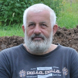 Алексей Кондрашов