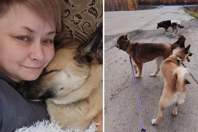 Yakutsk animal rescuer stranded with broken bus