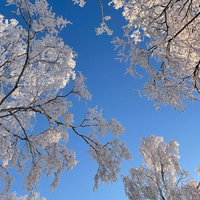 Аватарка David