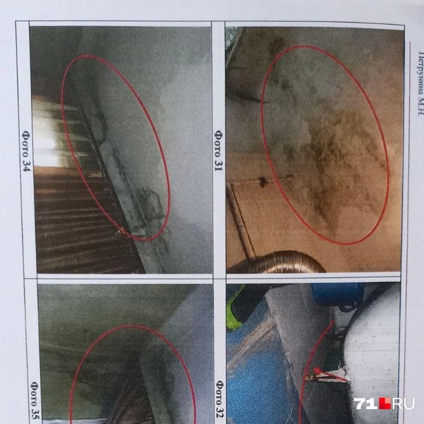 Дефекты, которые нашли эксперты в квартирах людей. Плесень, подтеки, облупившаяся штукатурка | Источник: Личный архив Марины Николаевны