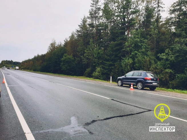 Источник: «Дорожный инспектор» / vk.com